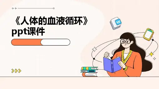 《人体的血液循环》课件