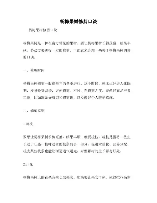 杨梅果树修剪口诀