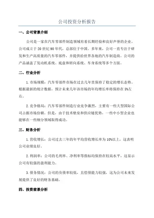 公司投资分析报告