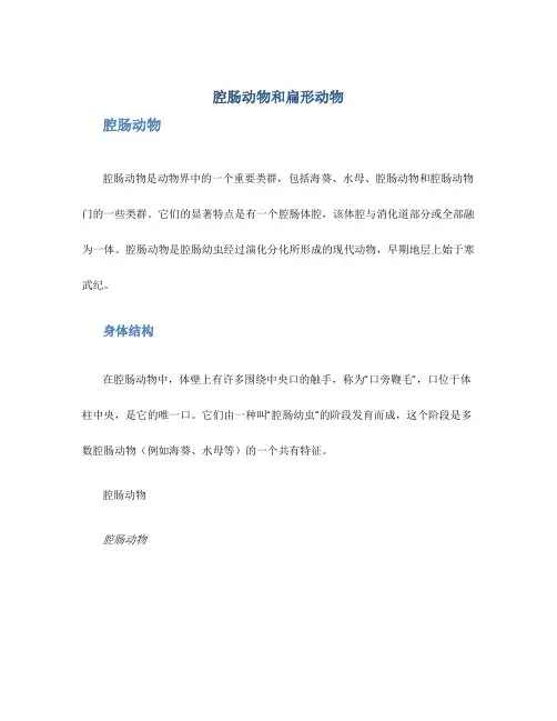 腔肠动物和扁形动物(校本作业)