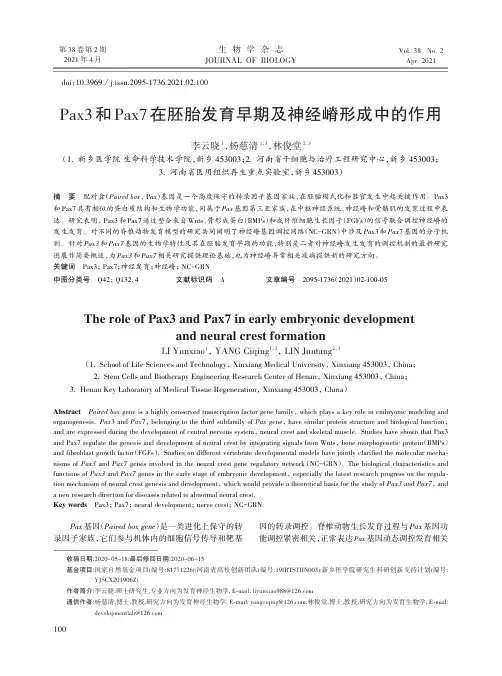 Pax3和Pax7在胚胎发育早期及神经嵴形成中的作用