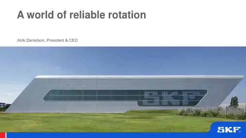 SKF Group 产品说明书