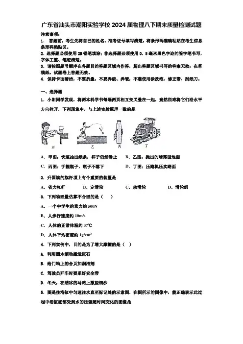 广东省汕头市潮阳实验学校2024届物理八下期末质量检测试题含解析