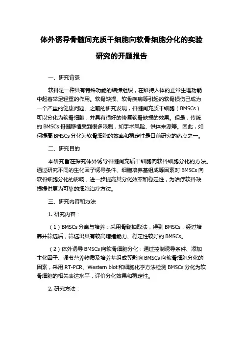 体外诱导骨髓间充质干细胞向软骨细胞分化的实验研究的开题报告