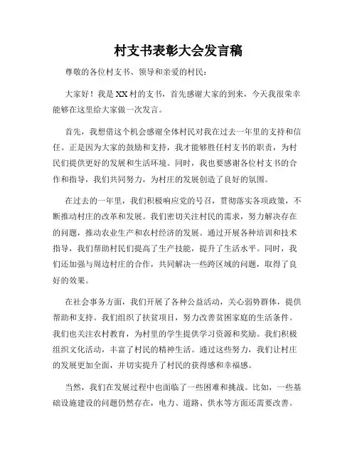 村支书表彰大会发言稿