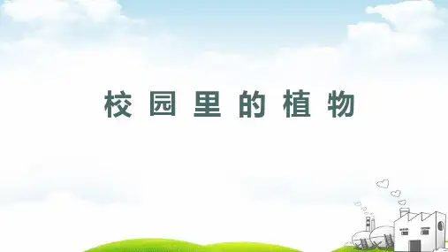 教科版《校园里的植物》》PPT课件2