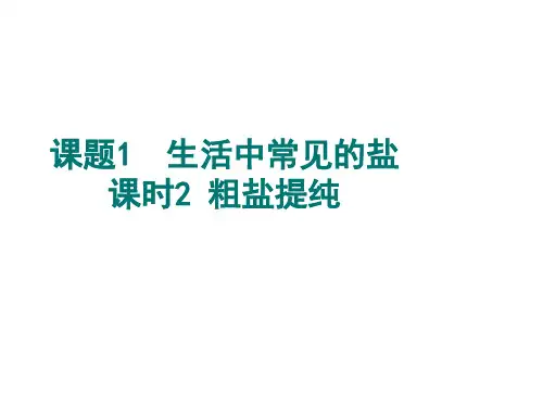 粗盐提纯课件