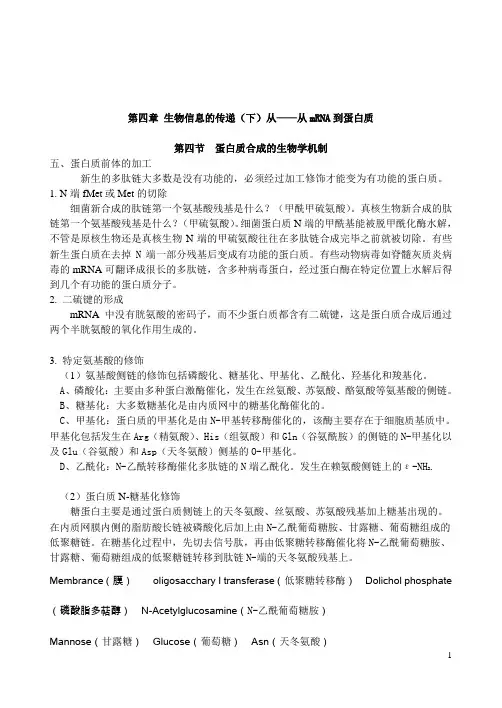 分子生物学4  生物信息的传递(下)——从RNA到蛋白质