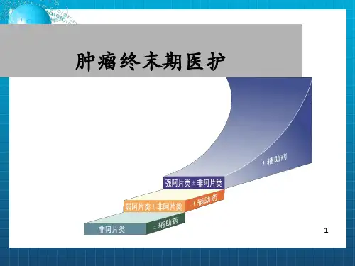 《肿瘤终末期医护》PPT课件_OK