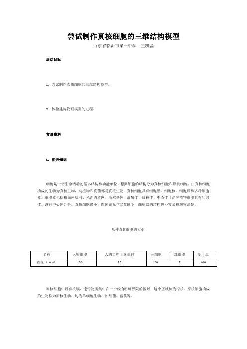 真核细胞的三维模型的制作步骤