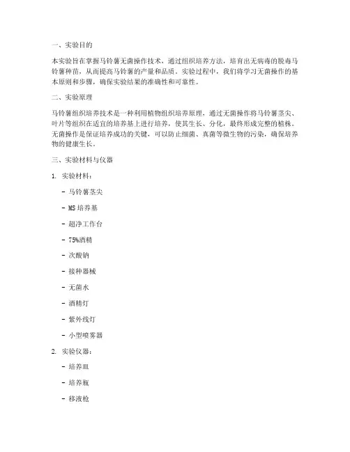 马铃薯无菌实验报告