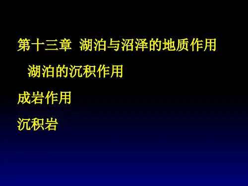 第十三章 湖泊与沼泽的地质作用PPT课件