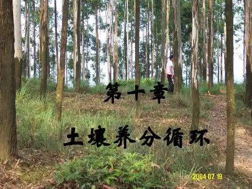 土壤养分循环