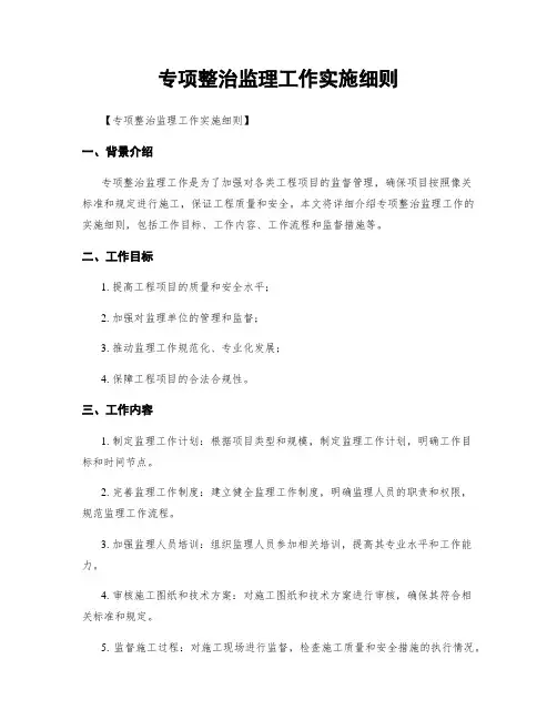 专项整治监理工作实施细则
