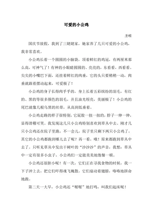 小学作文可爱的小公鸡