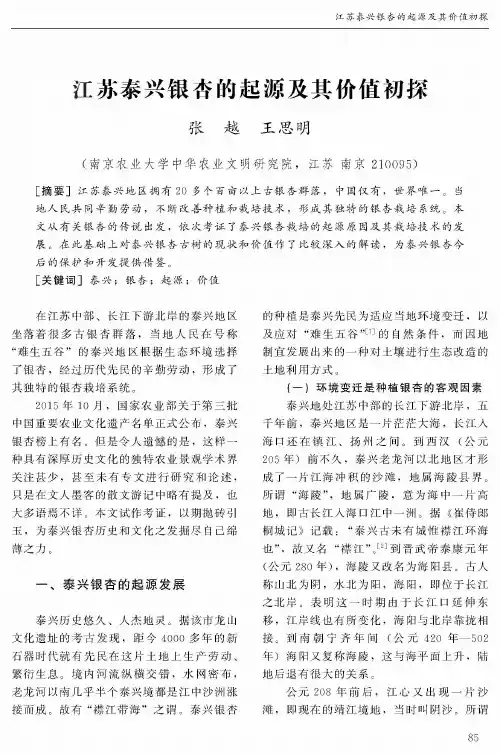 江苏泰兴银杏的起源及其价值初探