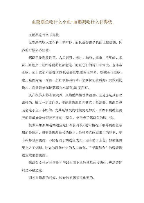血鹦鹉鱼吃什么小鱼-血鹦鹉吃什么长得快