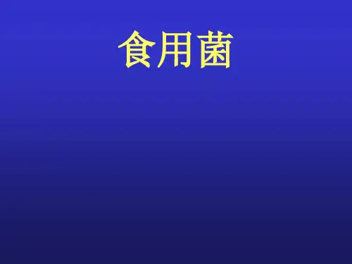 食用菌教学课件