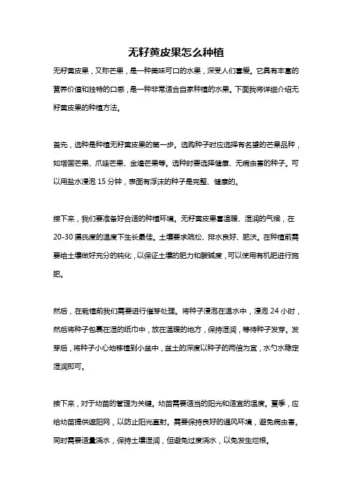 无籽黄皮果怎么种植
