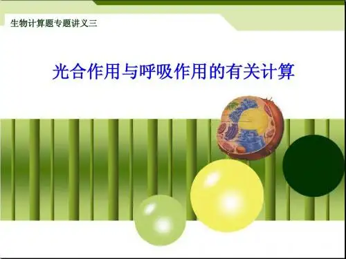 光合作用与呼吸作用有关计算
