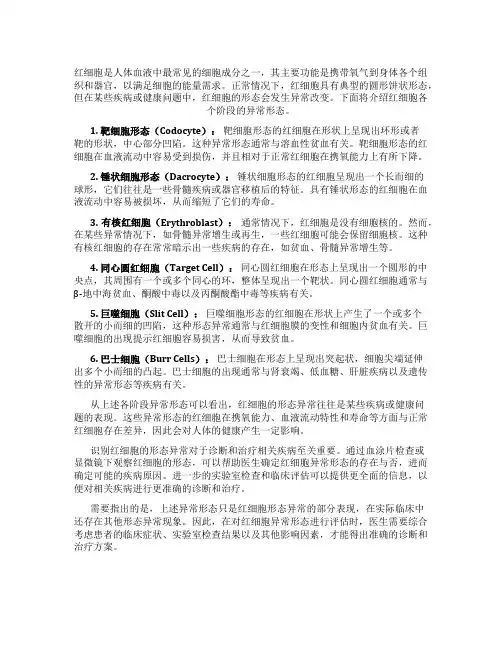 红细胞各阶段异常形态