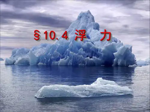 苏科版八年级下册物理《四、浮力》