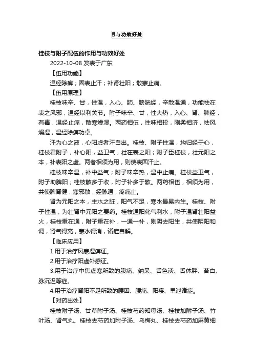 桂枝与附子配伍的作用与功效好处