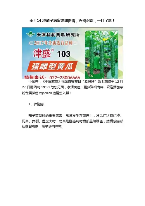 全！14种茄子病害详细图谱，看图识别，一目了然！