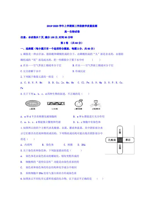 2019-2020学年山东省微山县高一上学期第三学段质量检测生物试题