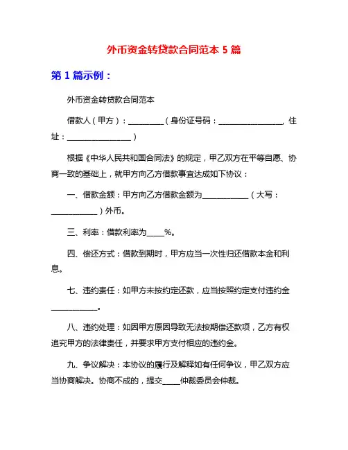 外币资金转贷款合同范本5篇