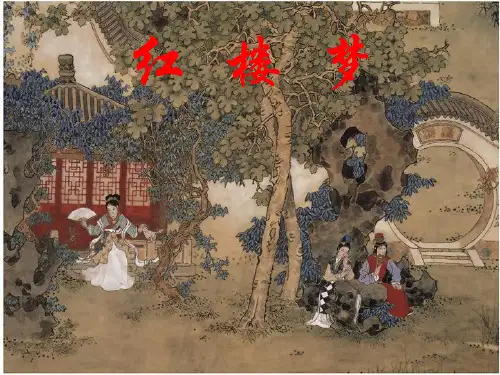 红楼梦有感PPT