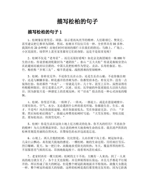 描写松柏的句子