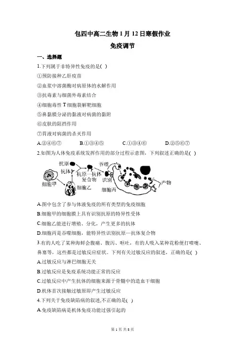 高中生物寒假作业4