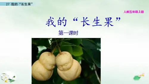 《我的“长生果”》PPT精品版(共11页)