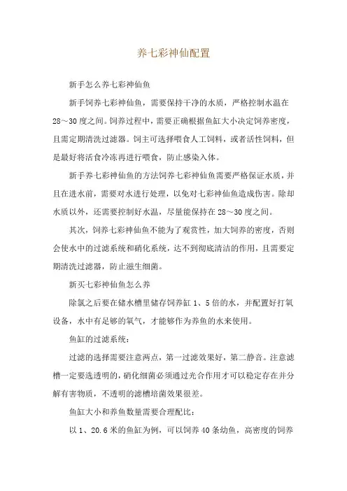 养七彩神仙配置