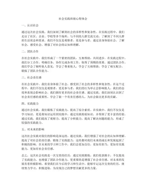 社会实践班级心得体会