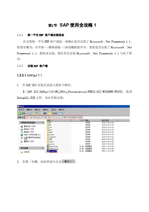 SAP使用全攻略1