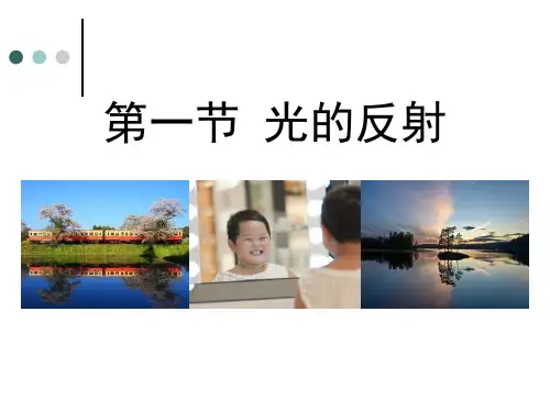 沪科版八年级物理 (光的反射)多彩的光课件