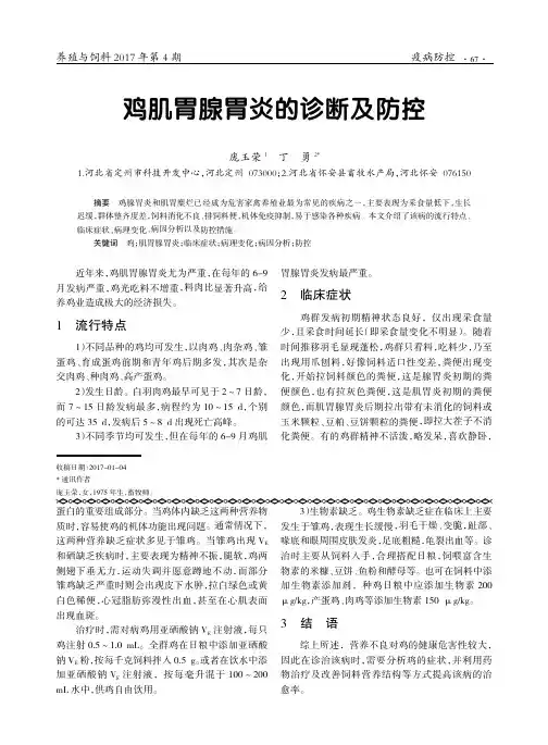 鸡肌胃腺胃炎的诊断及防控