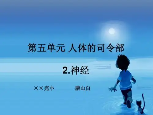 苏教版小学科学五年级下册《神经》课件