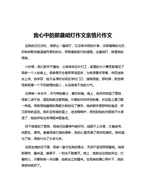 我心中的那盏明灯作文亲情片作文