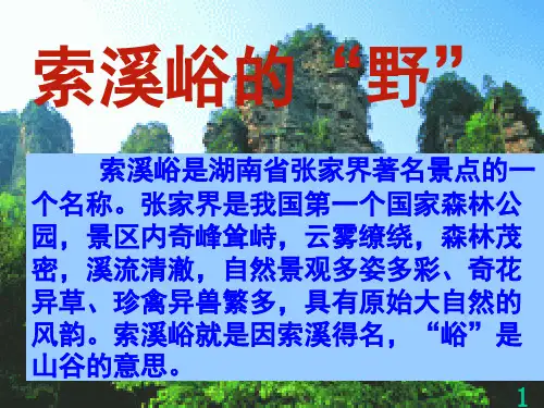 4索溪峪的野 ppt课件