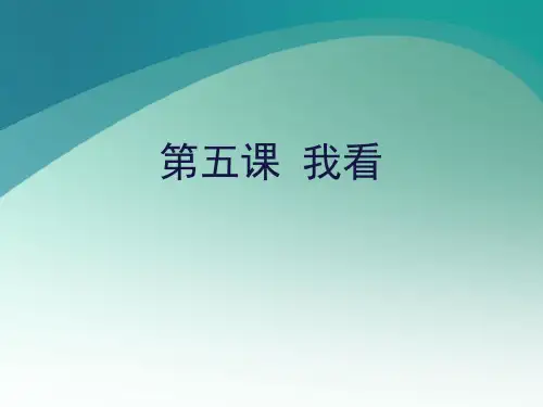 《我看》PPT课件.pptx