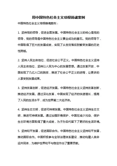 用中国特色社会主义培根铸魂案例