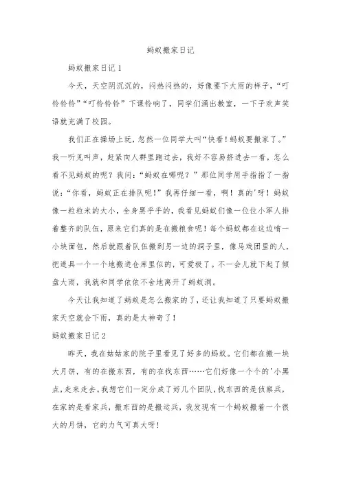 蚂蚁搬家日记