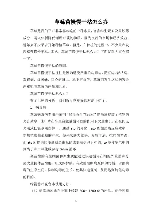草莓苗慢慢干枯怎么办