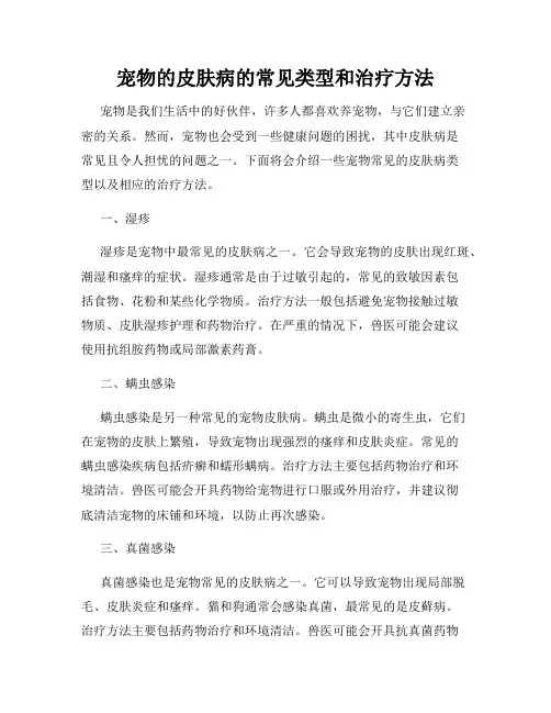宠物的皮肤病的常见类型和治疗方法