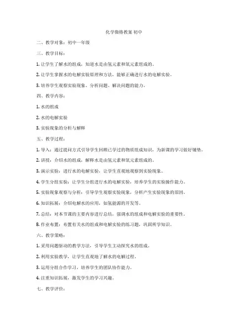 化学微格教案 初中