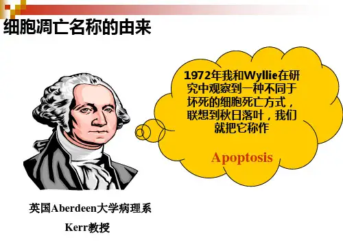 最新病理生理学9课件-PPT文档