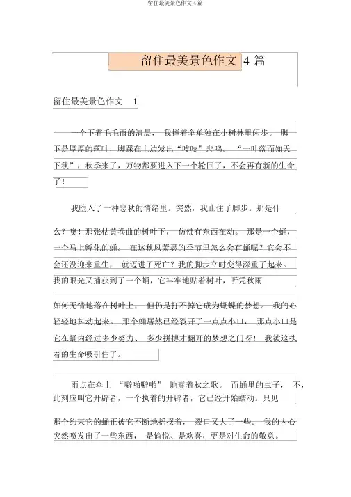留住最美风景作文4篇